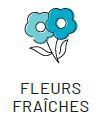 FLOW - fleurs fraiches
