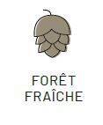 FLOW - foret fraiche