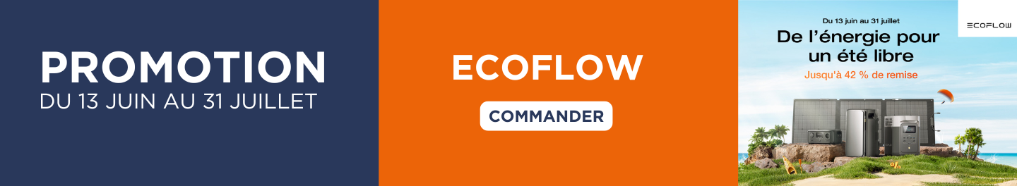 summer promotion ecoflow pc