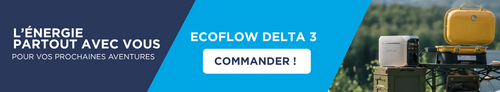 DELTA 3 - PC