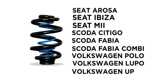 RESSORTS ARRIERES - SEAT/SKODA/VOLKSWAGEN à partir de 05/1997 (en fonction du véhicule) - VOLKSWAGEN